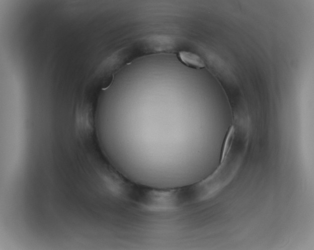 X0000110680170200906191412