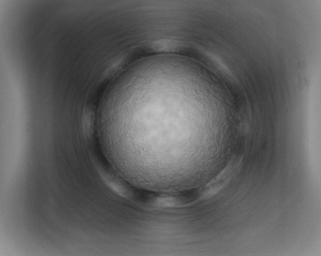 X0000110680171200906191412