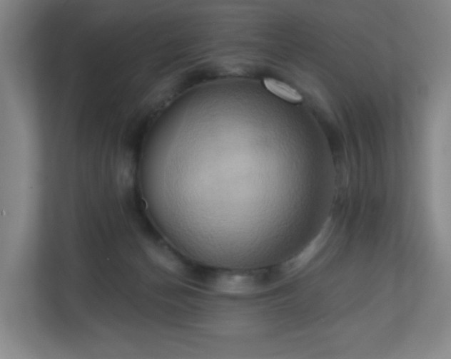 X0000110680174200906191412