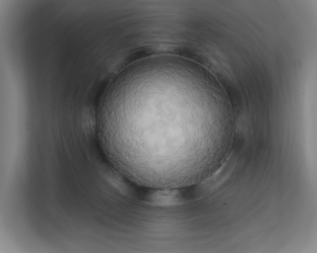X0000110680179200906191413