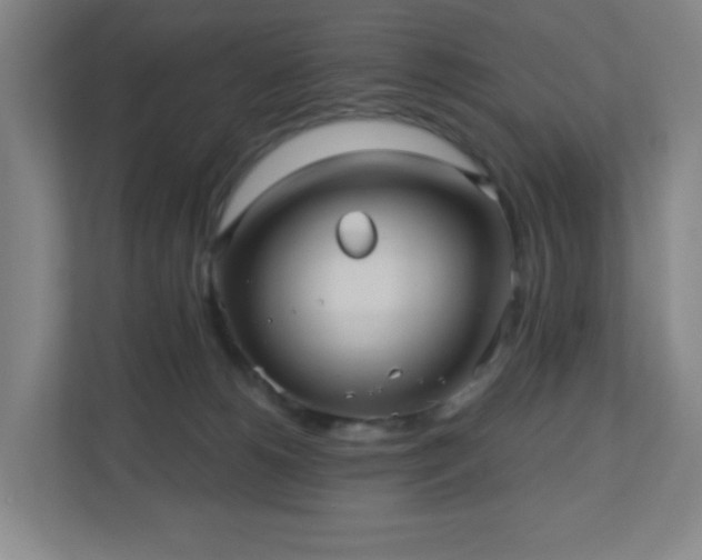 X0000110680180200906191413