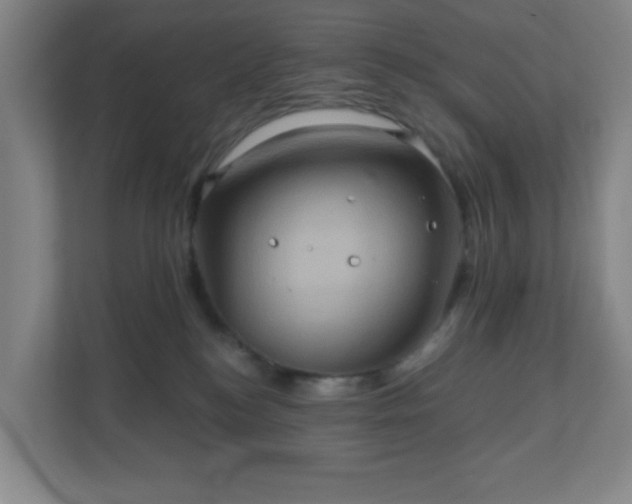 X0000110680184200906191413