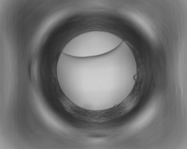 X0000110680189200906191413