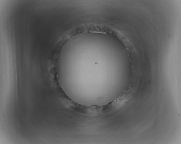 X0000110680192200906191413