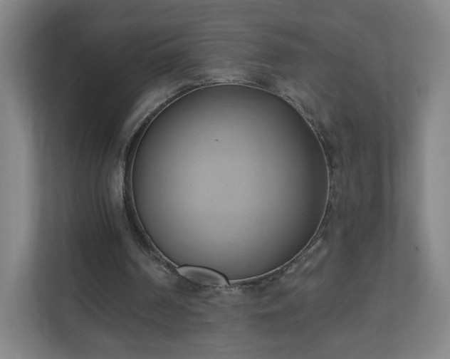 X0000110680194200906191412