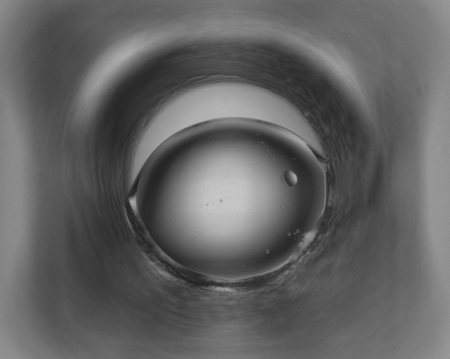 X0000110680195200906191412