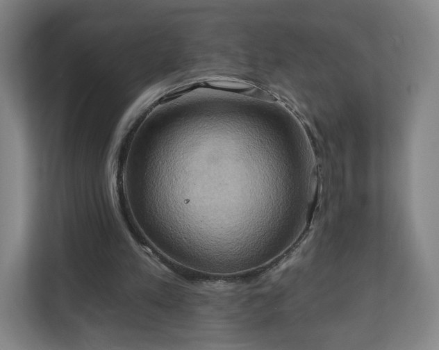 X0000110680197200906191412