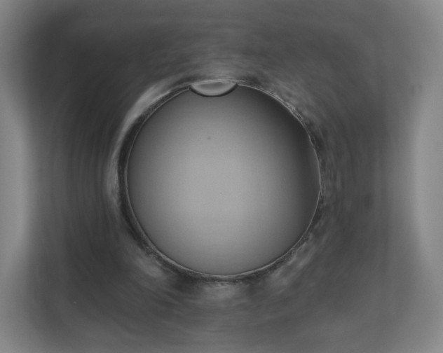 X0000110680198200906191412