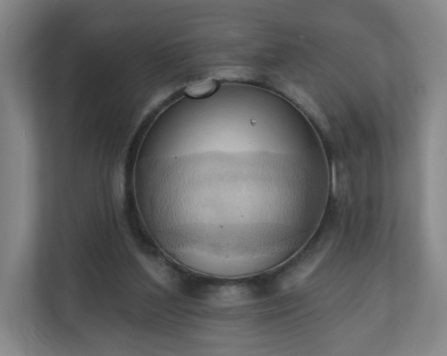 X0000110680204200906191412