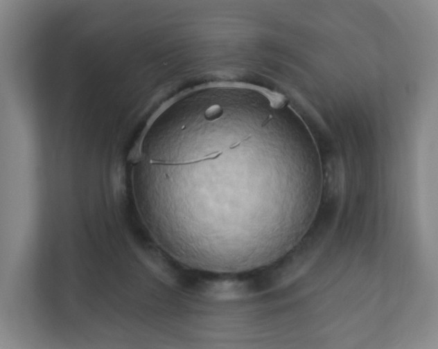 X0000110680212200906191412