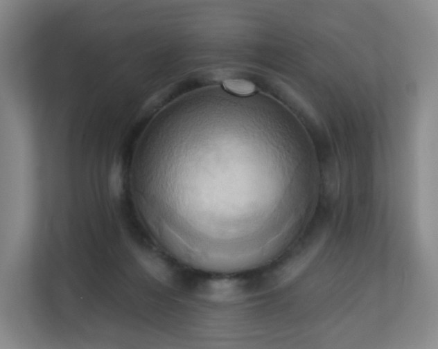 X0000110680216200906191412