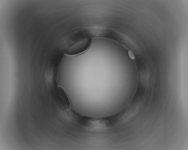 X0000110680221200906191412