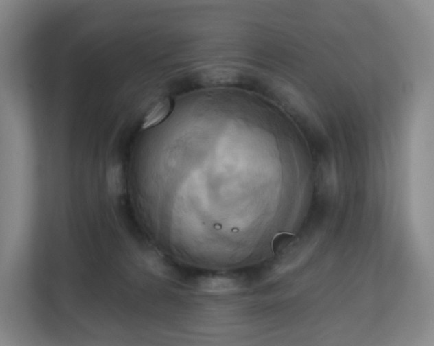 X0000110680224200906191412