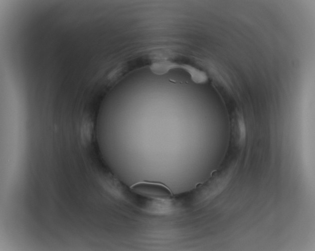 X0000110680227200906191412