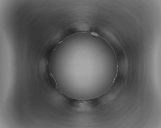 X0000110680229200906191412