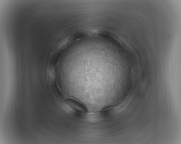 X0000110680240200906191411