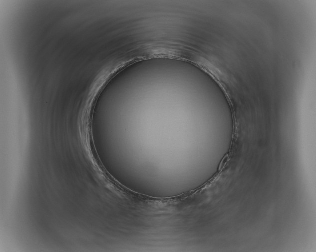 X0000110680241200906191411