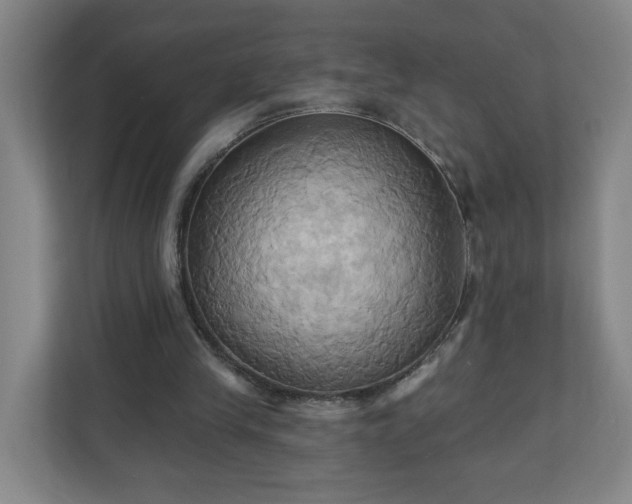 X0000110680245200906191411