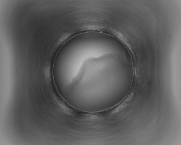 X0000110680249200906191411