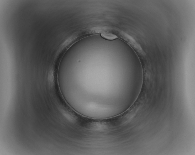 X0000110680250200906191411