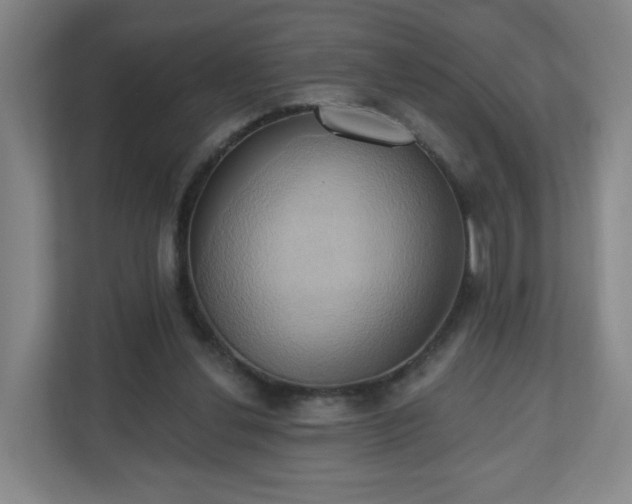 X0000110680252200906191411