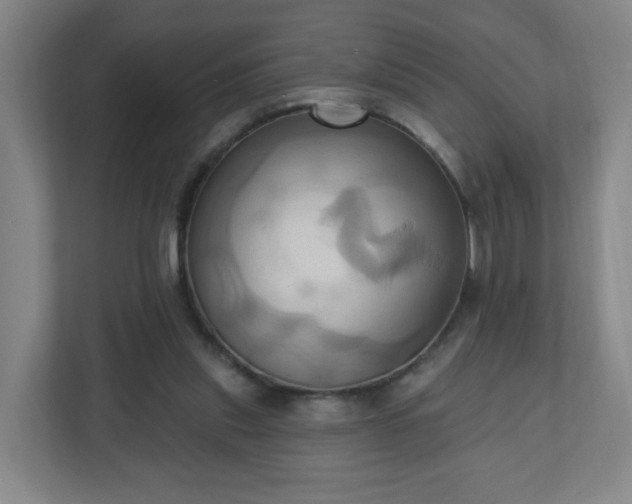 X0000110680253200906191411