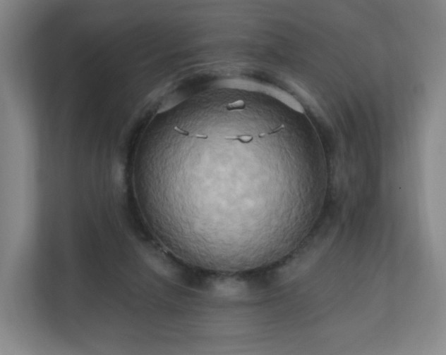 X0000110680258200906191411