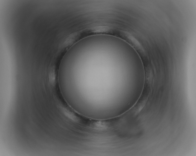 X0000110680261200906191411