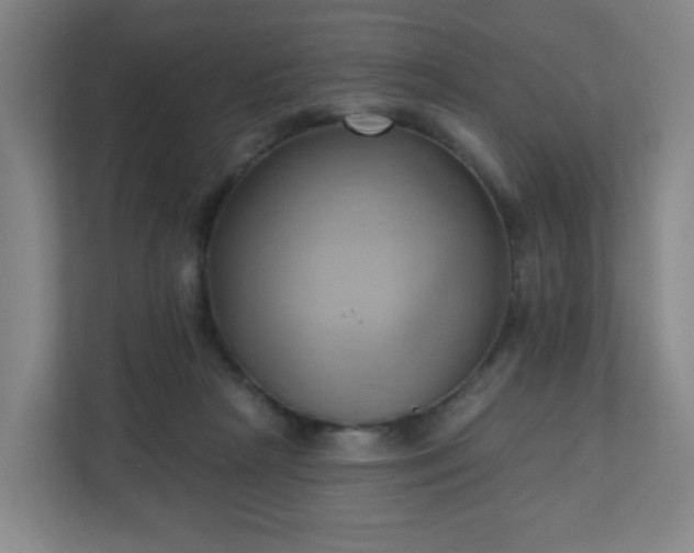 X0000110680265200906191411