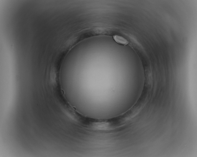 X0000110680266200906191411