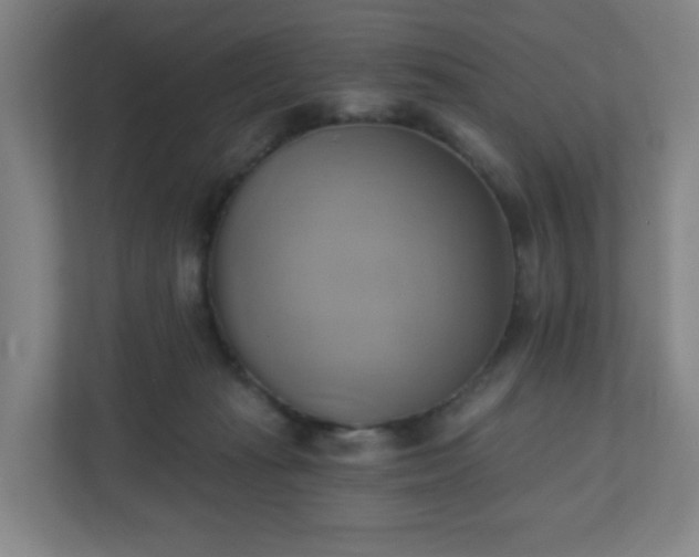X0000110680269200906191411