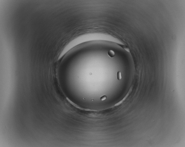 X0000110680272200906191411