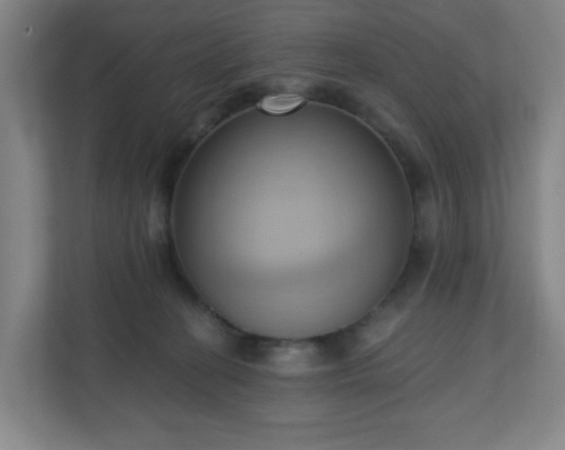 X0000110680274200906191411