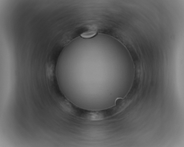 X0000110680275200906191411
