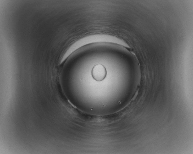 X0000110680276200906191411