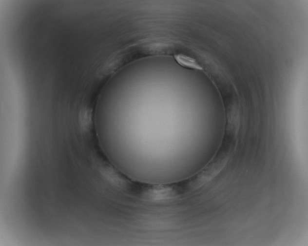 X0000110680278200906191411