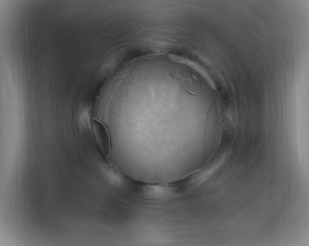 X0000110680286200906191411