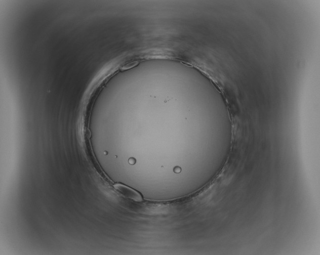X0000110680293200906191411