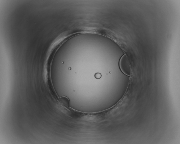 X0000110680294200906191411
