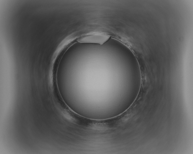 X0000110680296200906191411
