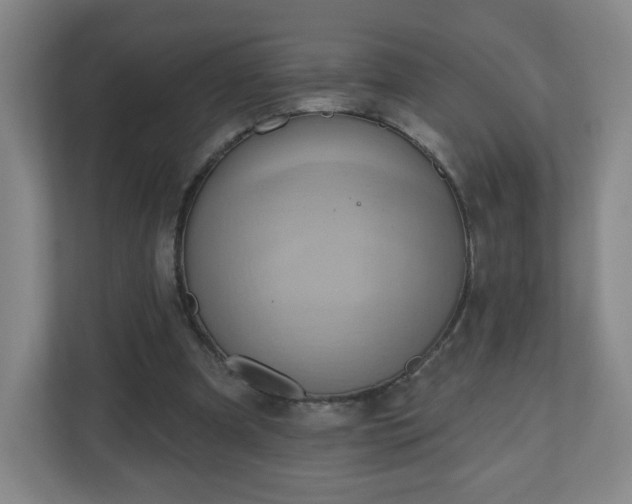 X0000110680297200906191411