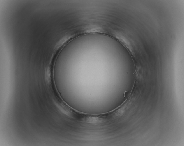 X0000110680298200906191411