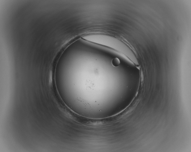 X0000110680301200906191411