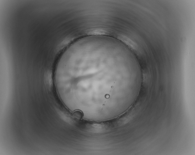 X0000110680302200906191411