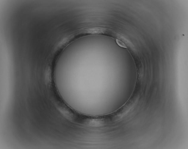 X0000110680303200906191411