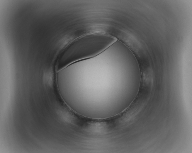 X0000110680304200906191411