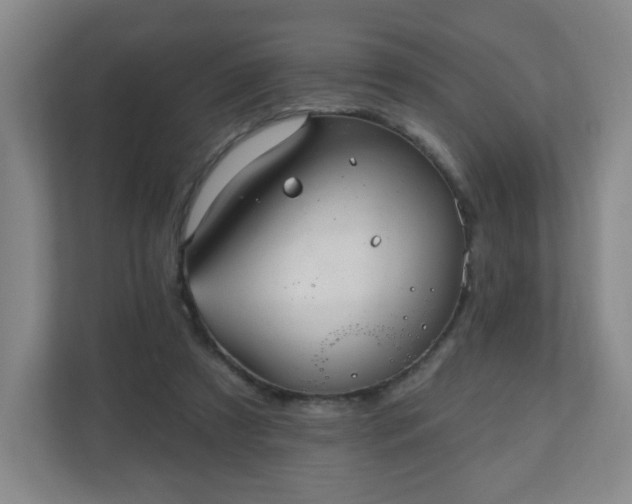 X0000110680305200906191411