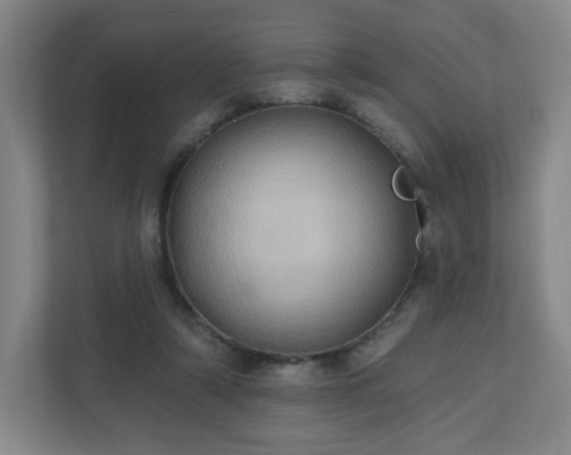 X0000110680306200906191411