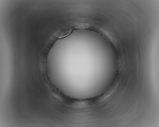 X0000110680307200906191411