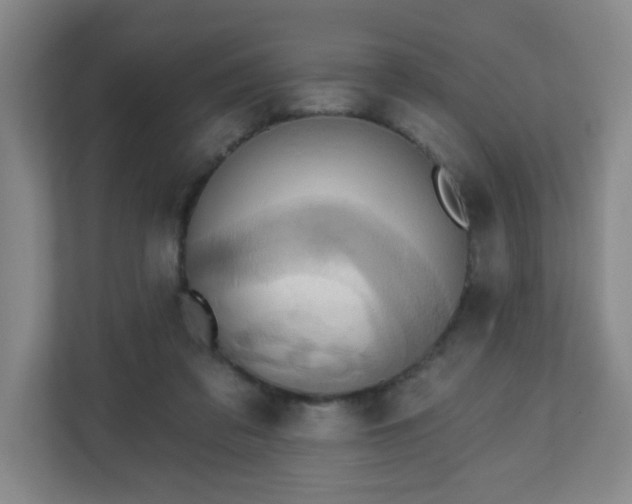 X0000110680309200906191411